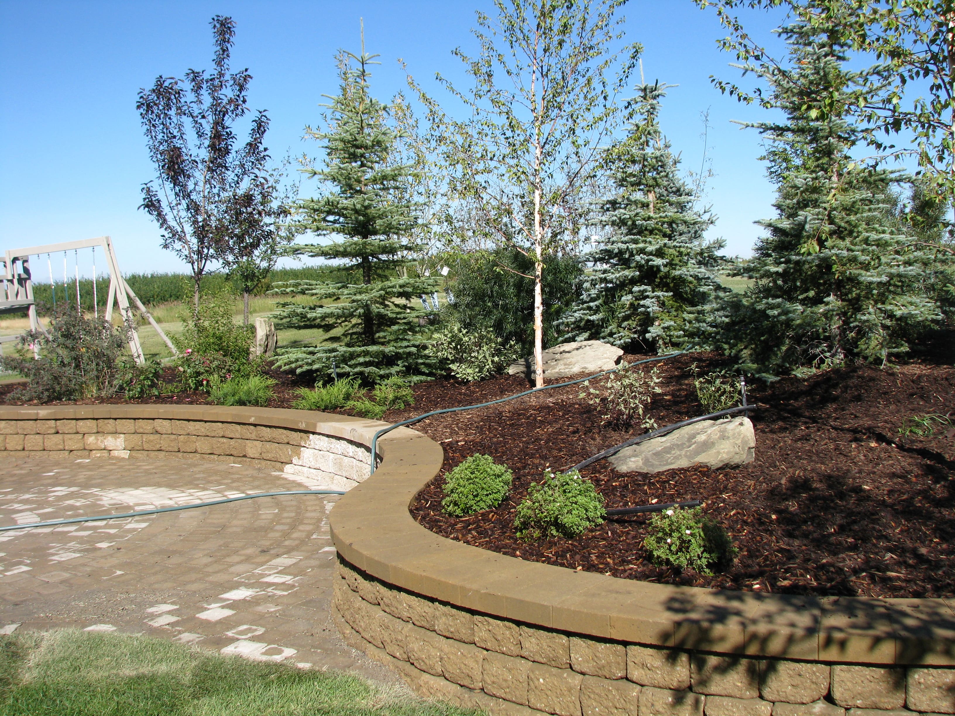 commercial-landscaping-garden-borders-and-planting