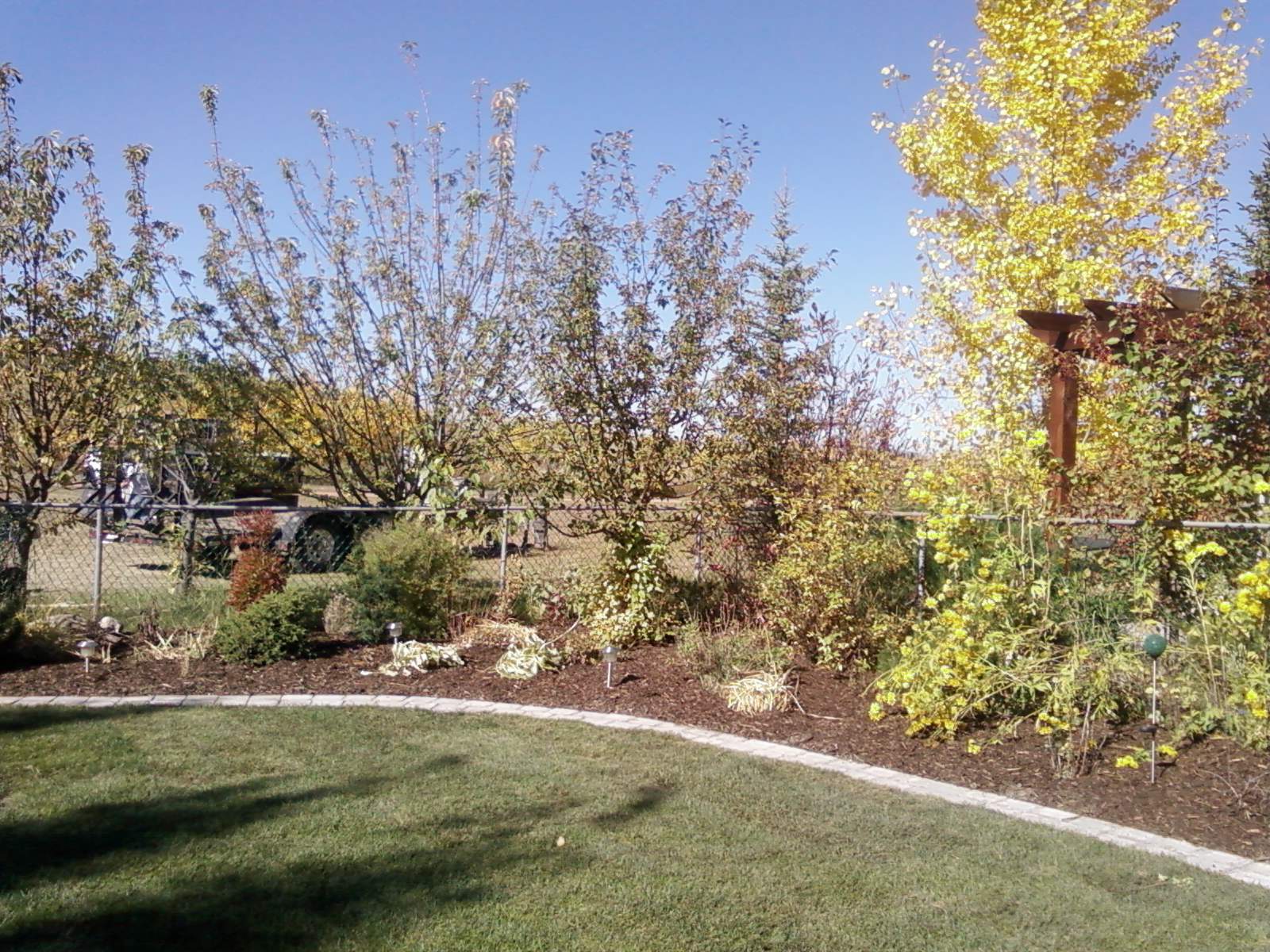 landscape-borders-tree-planting