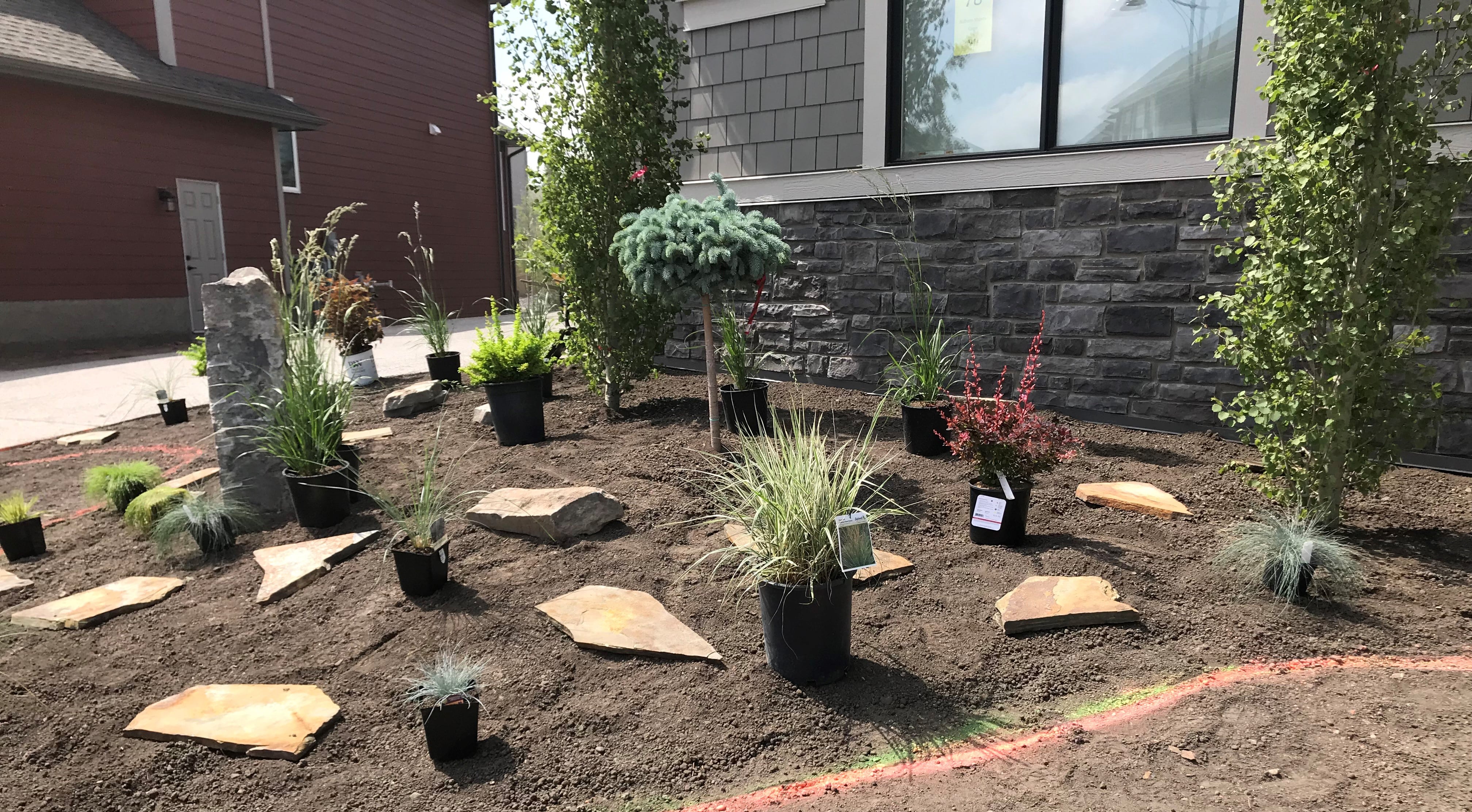 landscape-design